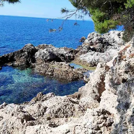 Pojko Dubrovnik