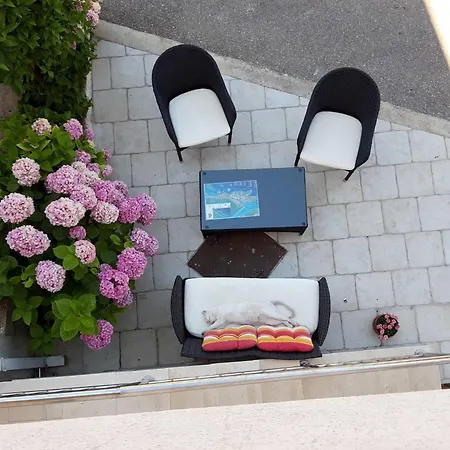 Pojko Dubrovnik