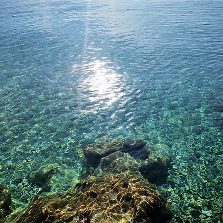 Pojko * דוברובניק