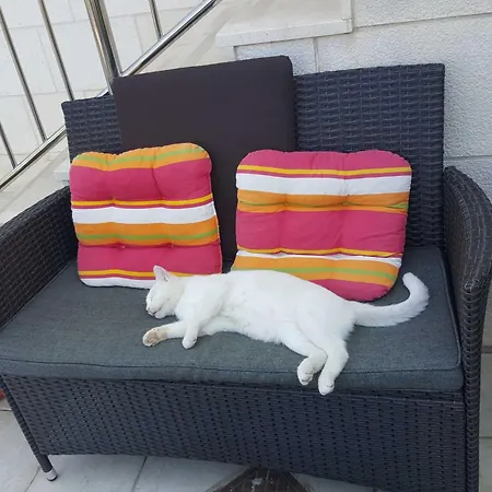 Pojko Daire Dubrovnik