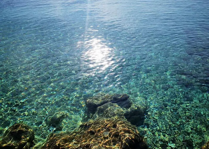Pojko * Dubrovnik