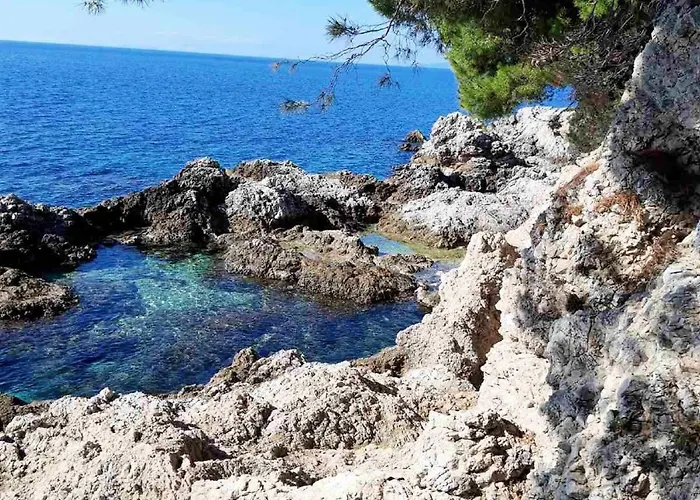 Pojko Dubrovnik